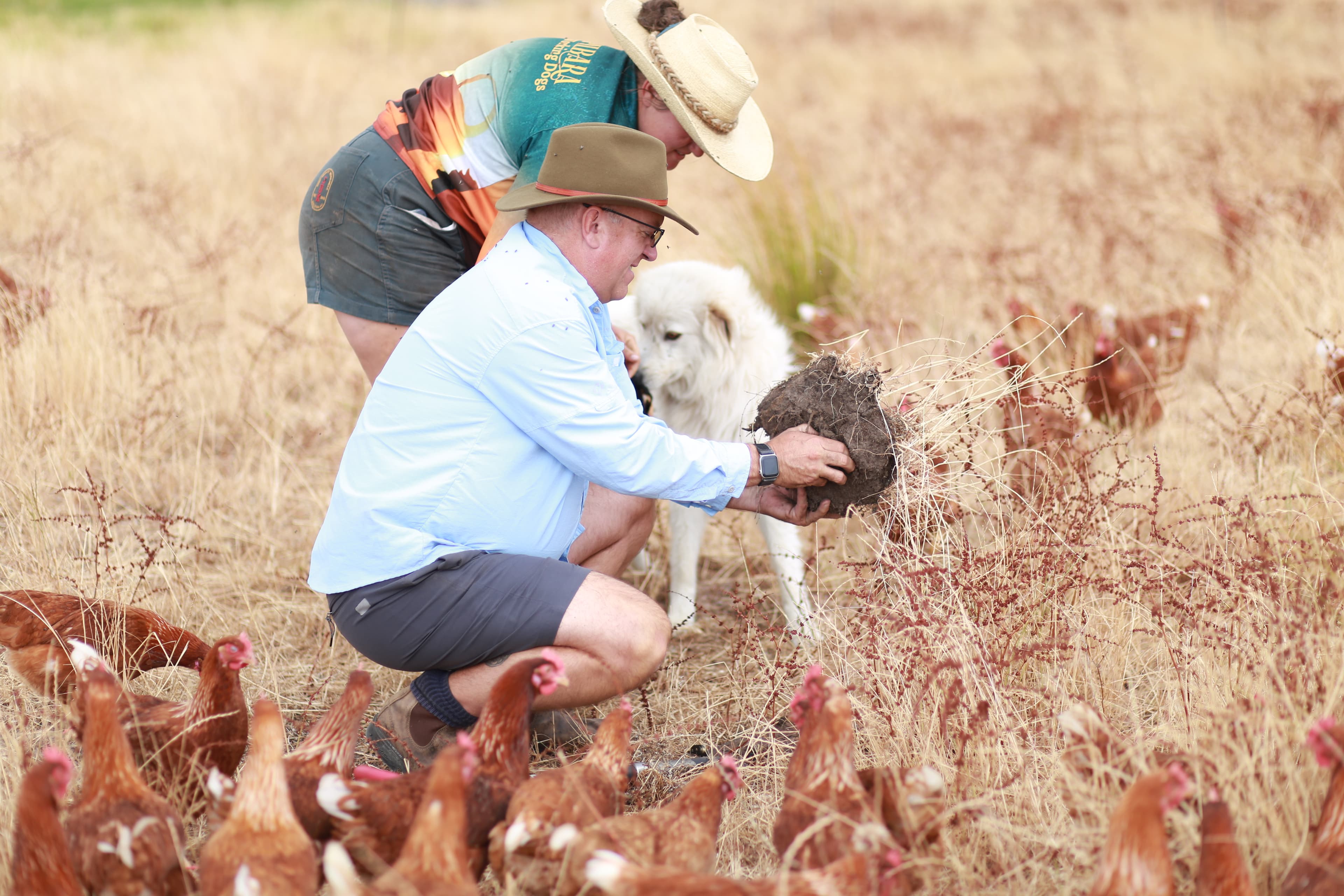 Kevin Elmy - Cover Cropping Expert